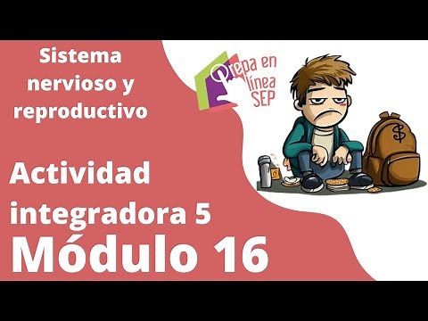 Actividad integradora 5 Módulo 16. Sistema nervioso y reproductivo.