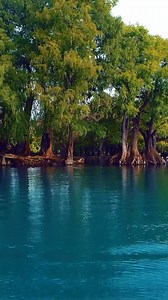 Los paisajes de Michoacán que enamoran !! El Lago de Camecuaro en el municipio de Tangancícuaro El Rumbo es #Michoacán #elAlmadeMéxico el destino que lo tiene todo #MichoacánSeVive | Roberto Molina Garduño