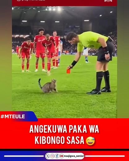 3.9M views · 44K reactions | Paka wa Kizungu kapewa kadi nyekundu na amekubali kutoka hii ingekuwa bongo ingekuaje ? #MTEULE | Nsajigwa Senior | Facebook