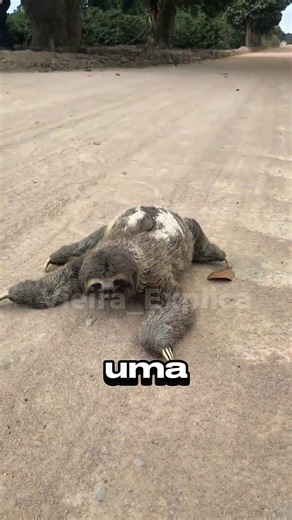 A NATUREZA É CRUEL? Veja esses 3 animais! 😱
