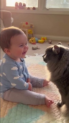 Baby Talking to a Cat — And the Cat Actually Answers! 😱🐱👶