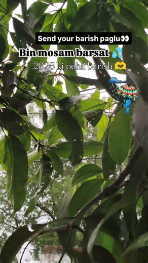💦bheegi bheegi raaton mein#bharish#mosham#shortsfeed