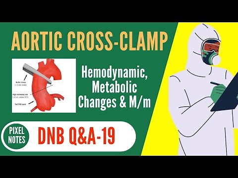 AORTIC Cross - CLAMP | Hemodynamic Changes of AORTIC Cross Clamping | Metabolic Changes