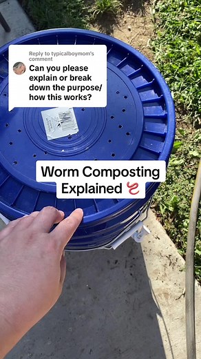 Replying to @typicalboymom this is how i set up my little worm compost sytem 😊🪱 #vermicomposting #wormcomposting #compostdiy