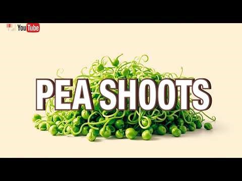 Pea Shoots Explained: The Tender Green That Chefs Treat Like Gold
