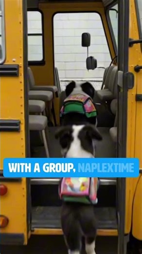 NAPLEX Prep 6-Week Crash Course + Calculations Course 🔥 Starts Soon | Pass NAPLEX with Confidence