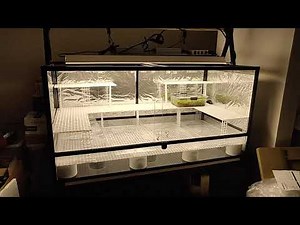Highland Terrarium Build for Carnivorous Plants Part 2 - Setting up the eggcrate diffuser shelves
