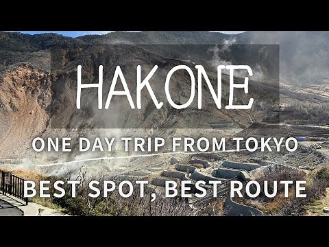 【Hakone】One Day Trip from Tokyo ! Best Spot! Best Route!