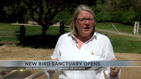 New bird sanctuary opens in Tucson: Aids conservation and research