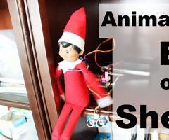 Animated Smart Elf on a Shelf With the Raspberry Pi Servo Controller