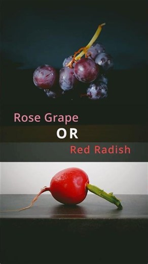 Rose Grape Or Red Radish Under The Microscope