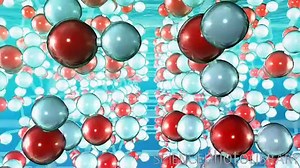 Educational Video Clips