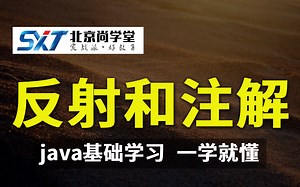 Java学习反射和注解教程、java基础课程、java反射和注解基础教程、JAVA零基础学习教程