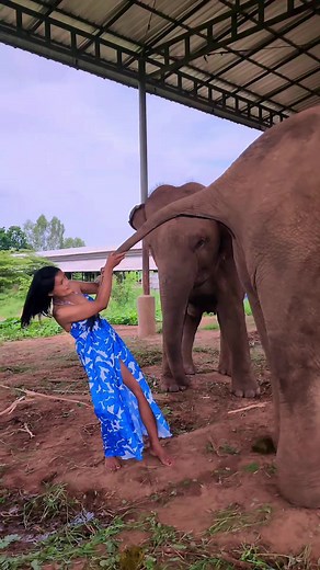 Gamiya Travel on TikTok