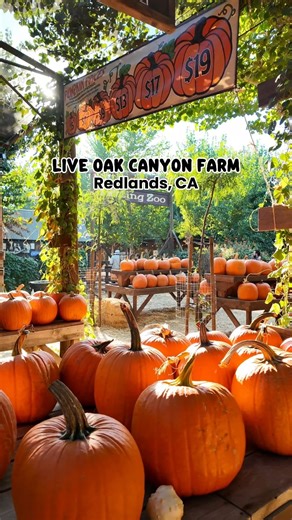 56K views · 413 reactions | Live Oak Canyon Farm / 32335 Live Oak Canyon Rd, Redlands, CA 92373 | Erick Sabillon | Facebook