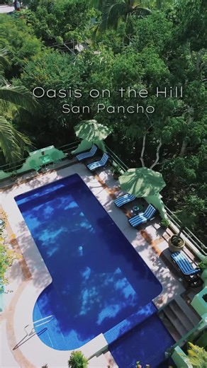Mexico Real Estate on Instagram: "✨ Oasis on the Hill — 7 Bed | 5 Bath in San Pancho! Multi-unit boutique property with lush tropical gardens, oversized cascading pool, ocean breezes & just minutes to the beach. Live, earn, expand, or build your dream on this rare turnkey opportunity. Listed at: $1,695,000 USD 📍DM or comment for more info! ————— ✨ Oasis on the Hill — 7 rec | 5 ba en San Pancho! Propiedad boutique con varias unidades, jardines tropicales, alberca principal con cascada y excelent