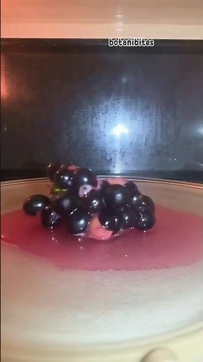 Microwaving Grapes: The Science & Surprising Benefits