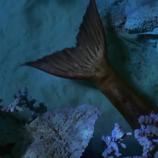 Exploring the Moon Pool in H2O: Just Add Water