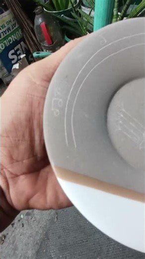 saucer japanese musical notes design