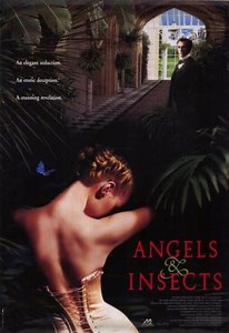 Angels and Insects  (1995)
