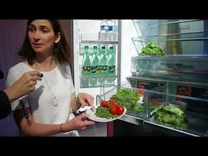 HAIER réfrigérateur congélateur HB18FGSAAA [Demonstration]