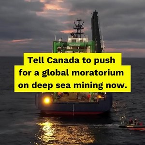 Speak the COLD truth: Say 'NO' to deep sea mining—in the Arctic and everywhere. Stop the industry from moving in on its latest target. | Greenpeace Canada