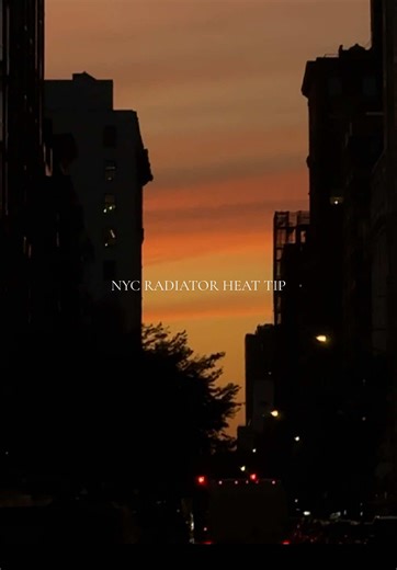 Homemade NYC Radiator Heat Humidifier Guide