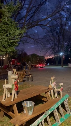 ITS 🌲 TIME! Our first load of trees has arrived! We got Fraser, Balsm & Canaan, all shapes and sizes. We open this Saturday. 9am-6pm. Your perfect tree for this season is waiting for you at Valley View Tree Farm! 🌲 | Valley View Tree Farm