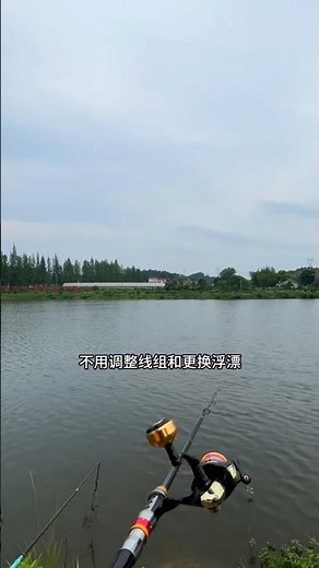 Using the best fishing rod to catch big fish with easiest trick?!