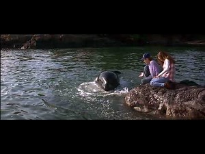 Free Willy The Adventure Home - Littlespot