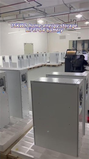 51.2V300Ah 15KWh Wall-mounted mobile energy storage lithium battery