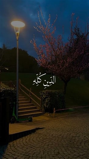 #دين_الحق#نصرة_الاسلام#نور_الله#الحق_ظاهر#قرآن_كريم#تدبر#اسلاميات#يقين#shorts#reels#fyp