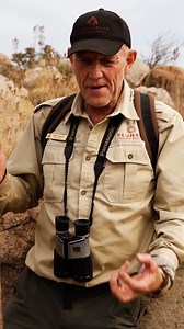Take a guided walk through the Plumari Private Reserve and witness ancient rock carvings called Petroglyphs. These marvels were created by the San people between 2000 and 8000 years ago. Book today for R425 per person by emailing us at reservations@africanhillslodge.co.za. Rate valid until 31 October 2024. #petroglyph #hike #guidedtour #ancientrockcarvings #magaliesberg #magaliesburg | African Hills Safari Lodge and Spa