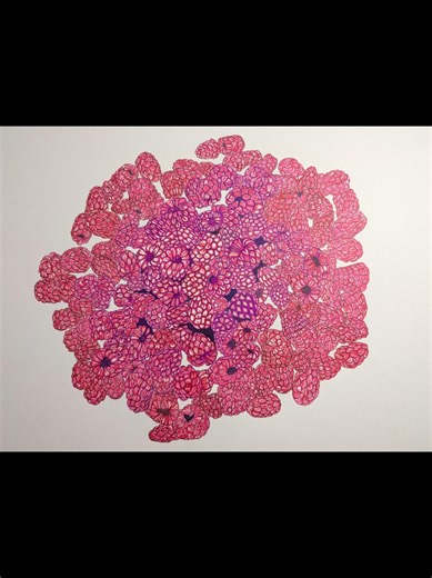 Raspberry Compilation Featuring Amanda Rose's Doodles