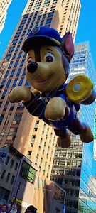 Chase is chasing something! #pawpatrol #macysparade #balloon #parade #thanksgiving #funnykids