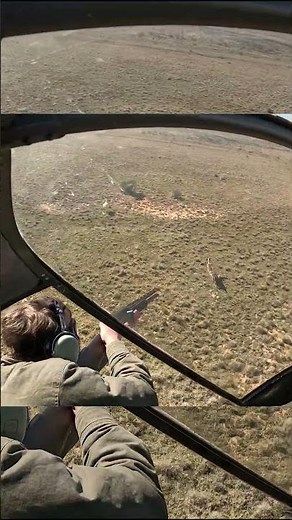 FELLOW deer HUNT[Helicopter Hunting]