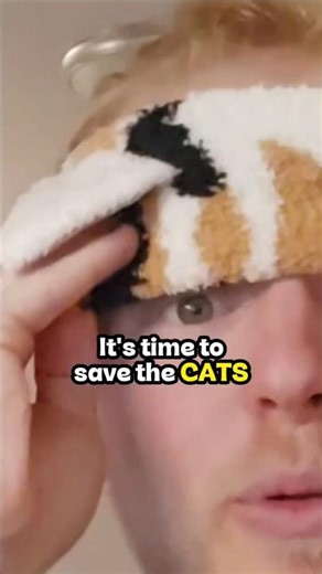 Exploding Kittens Must be STOPPED! #pnp #kickstarter #games