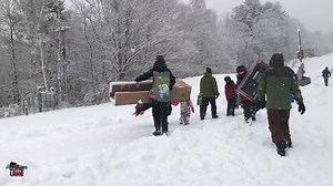 9.2K views · 21 reactions | It's the Annual Cardboard Sled races at...
