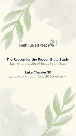 Luke 20 | Reason for the Season Bible Study | The Life of Jesus in 24 Days | Faith Fueled Peace