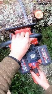 184K views · 1K reactions | Trees fall, I rise  #treechopping #chainsaw #asmr | Guilty of treeson | Facebook