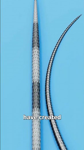 How Porcupine Needles Work 😮