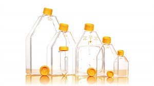 [Hot Item] Disposable Plastic Cell Culture Flask for Lab Use with ISO9001