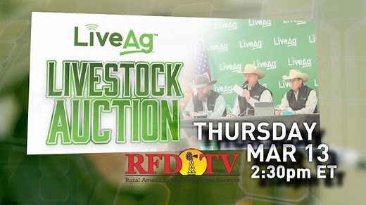 LiveAg Livestock Auction