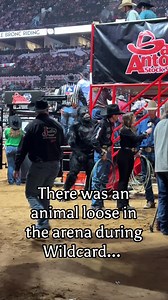 280K views · 7.4K reactions | We haven’t seen our Rodeo Clowns or our camera man since the Wildcard performance…if y’all see them with a gorilla somewhere, let us know  | San Antonio Stock Show & Rodeo | Facebook