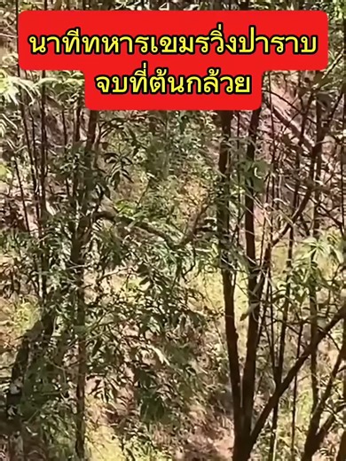 #tiktokvirał #videoviral #vỉraltiktok