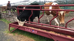 Help the farm and animals you love at Frying Pan Farm Park. The Friends of Frying Pan Farm Park own the farm animals and support their care with food, vet care, shelter and other expenses like these very sturdy feed troughs and fences. Donate on line at http://ow.ly/cFci50HcEQo. | Friends of Frying Pan Farm Park