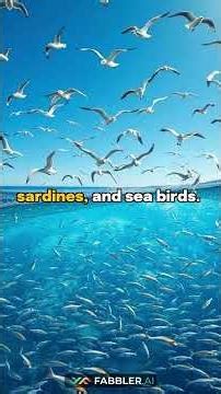 This Cold Ocean Current Feeds 20% of the World. Here's Why.