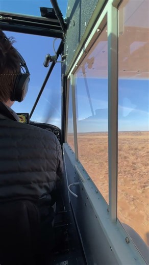 Husky landing at a Texas Ranch