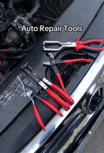 Essential Hose Clamp Kit for Auto Repairs