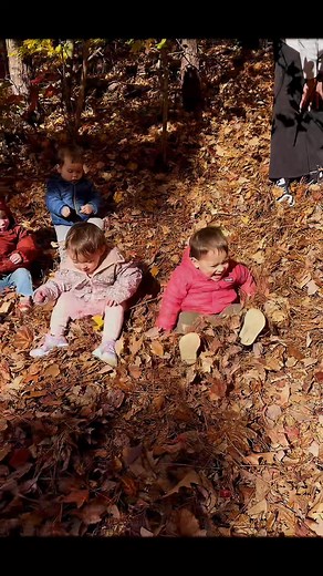  Little Autumn Explorers Our little explorers enjoyed an outdoor adventure, surrounded by crunchy leaves, laughter, and endless curiosity. Through games and discoveries, they felt free, happy, and full of energy, making the most of a perfect day to learn and have fun. ✨ Every outdoor experience sparks their creativity and creates memories that will last a lifetime. #LittleExplorers #MagicalAutumn #SPANISHFORFUN! | SPANISH FOR FUN - Cary | Facebook